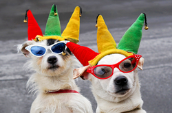 Звідки взявся День дурня? Історія свята і найцікавіші розіграші 