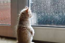 В Україні у понеділок трохи похолодає