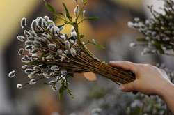 Сьогодні християни святкують Вербну неділю