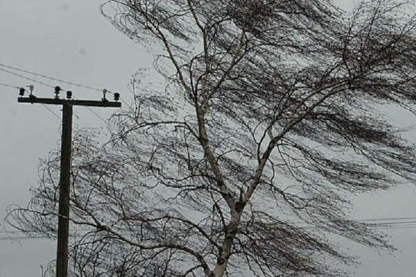 На Київщині штормовий вітер залишив без світла 112 населених пунктів