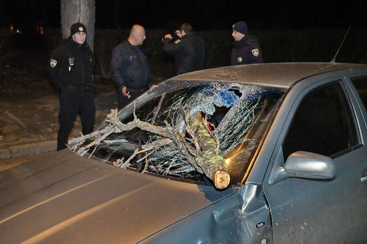 У столиці дерево розбило автомобіль із дитиною всередині 