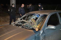 Гілка впала на автомобіль, сильно пошкодивши його