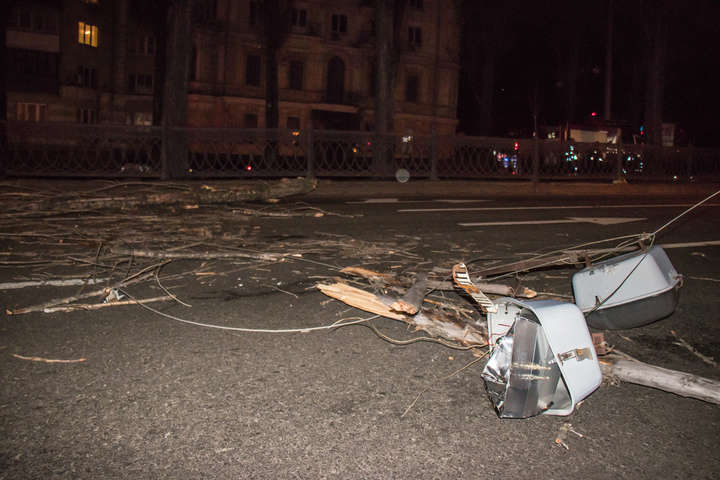 На бульварі Шевченка впало дерево, влаштувавши транспортний колапс 