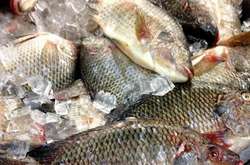 У Києві виявлено 42 тонни неякісних продуктів