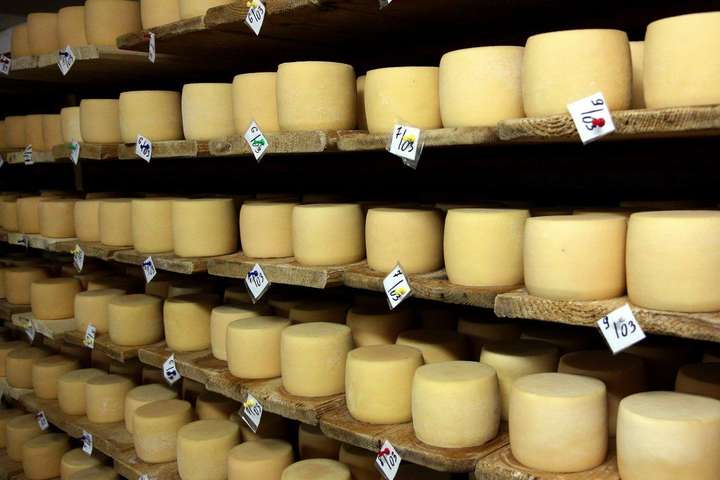 Минулого року 60 тис. т українських сирних продуктів успішно продали в Росію - експерт