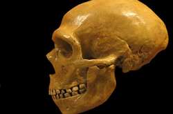 Французские ученые воссоздали внешность человека, жившего 28 тысяч лет назад