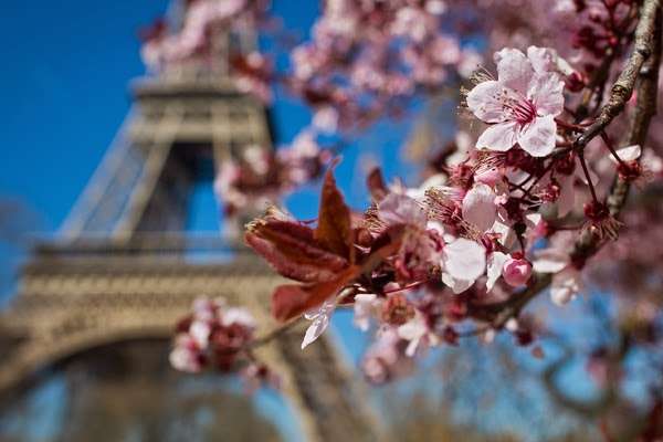 В Одесі відбудеться фестиваль «Французька весна» (програма)