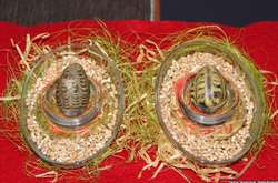  Дві писанки періоду Київської Русі, приблизно ХІ-ХІІІ ст 