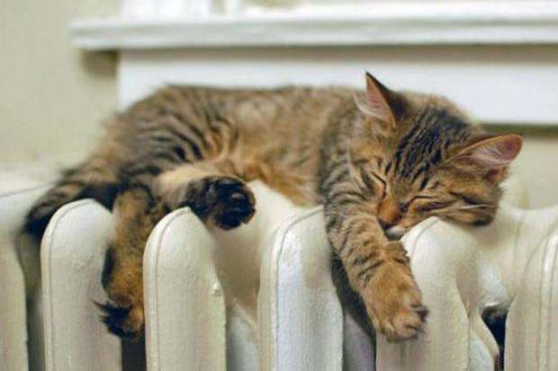 Во Львове отключили отопление из-за теплой погоды 