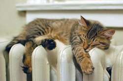 Во Львове отключили отопление из-за теплой погоды 