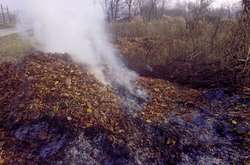 Міністр екології розповів про підвищення штрафи за випалювання рослинності