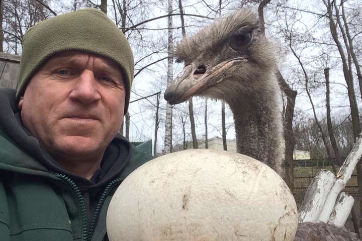 В Межигорье «страусы Януковича» снесли предпасхальный подарок (фото)