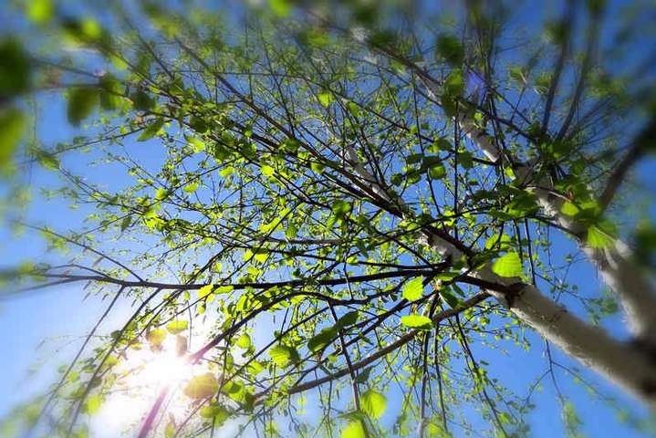 Сьогодні в Україні повітря прогріється до +20 