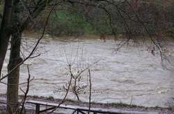 На Закарпатті в річці потонули дідусь і його маленький онук