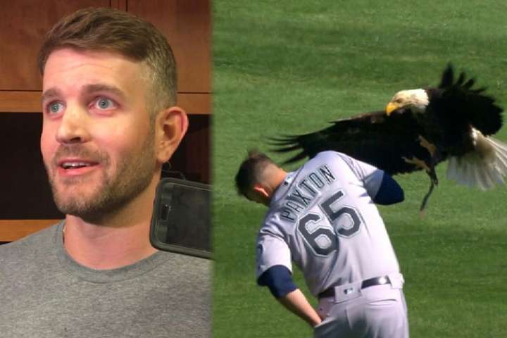 В США під час бейсбольного матчу орел «атакував» одного з гравців (відео)