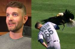 В США під час бейсбольного матчу орел «атакував» одного з гравців (відео)