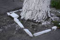 Посадовець мерії Франківська хоче штрафувати за побілку бордюрів