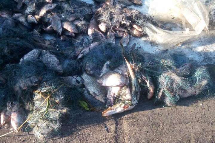 На Київщині затримано за браконьєрство екс-начальника районної рибінспекції