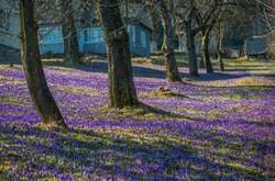 Погода в Україні на 10 квітня: синоптик попередила про сюрприз