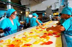 Українські трудові мігранти у Польщі&nbsp;