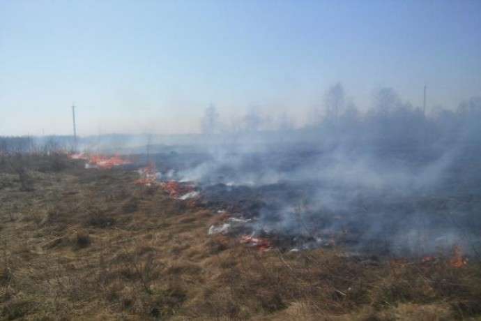 У вінницьких екосистемах за минулу добу сталось 20 пожеж 