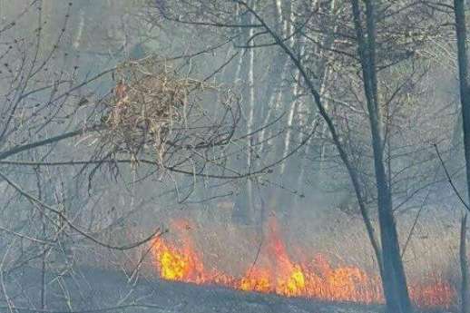 На Совських ставках, які влада хоче забудувати, сталася пожежа