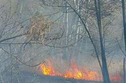На Совських ставках, які влада хоче забудувати, сталася пожежа