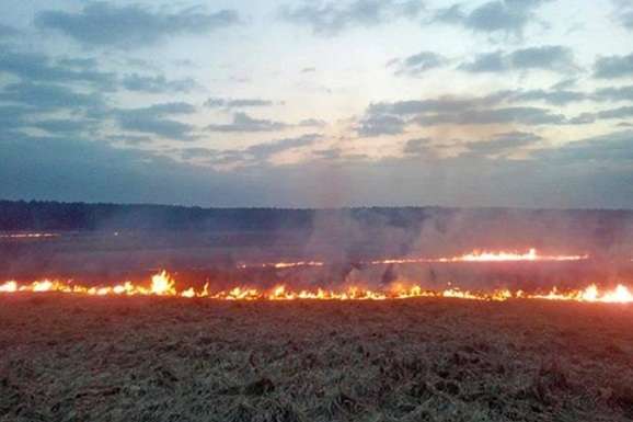 Синоптики попереджають про високий рівень пожежної небезпеки в Україні
