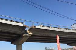 Шляхопровід на Видубичах