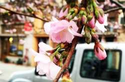 В Україну йде похолодання: прогноз погоди на 12 квітня