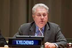 Єльченко назвав головну проблему реформи Радбезу ООН