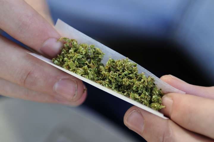 С полицейского склада в Аргентине пропало 540 кг марихуаны. Полицейские уверяют, что её съели мыши