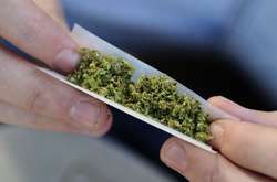 С полицейского склада в Аргентине пропало 540 кг марихуаны. Полицейские уверяют, что её съели мыши