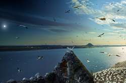 Фото Стивена Уилкса