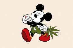 Со склада полиции в Аргентине пропало 500 кг наркотиков. Копы обвиняют мышей