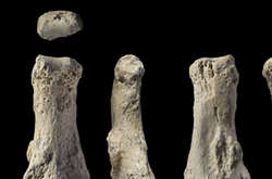 Найстаріші в Аравії рештки homo sapiens