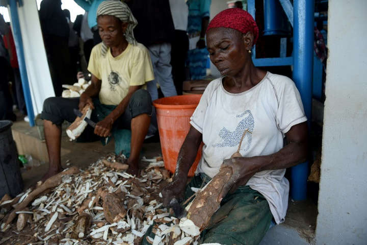 Африці загрожує продовольча криза через рослинну Еболу
