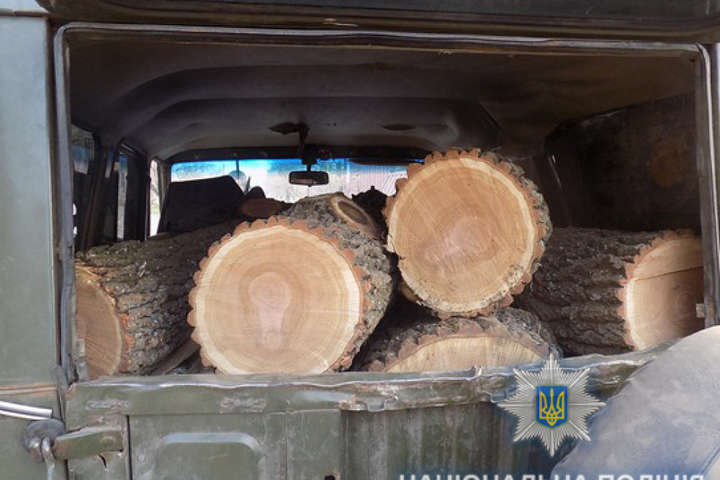 Житель Одеської області знищував лісові насадження під виглядом санітарної вирубки