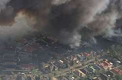 Велика лісова пожежа досягла Сіднея