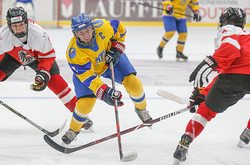 Угорщина та Японія – серед лідерів Чемпіонату світу з хокею у Києві. Матчі другого туру