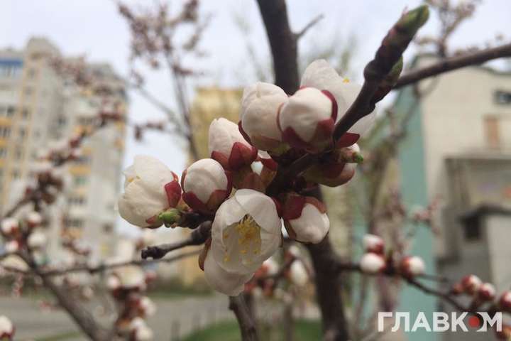 У квітні у Києві зафіксовано вже три температурних рекорди 