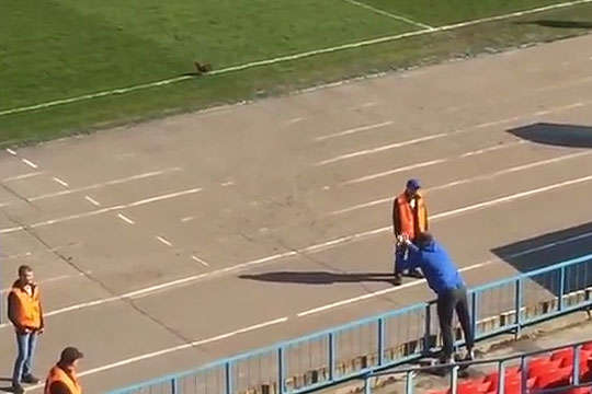 Російський клуб, фанат якого викинув на поле півня, оштрафували на 650 євро (відео)