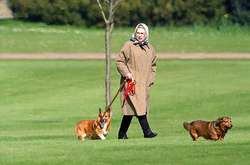 В семье Елизаветы ІІ случилось горе