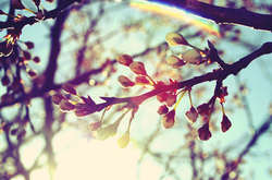 Після дощів та похолодання в Україні потеплішає до +25