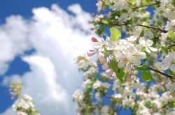 Синоптики прогнозують в Україні вітряну, але теплу погоду 