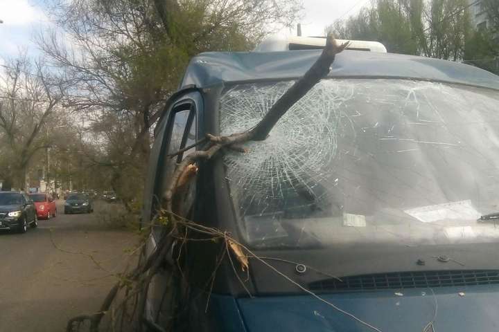 Шквальний вітер в Одесі: гілка пробила лобове скло автомобіля