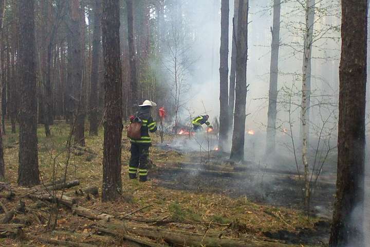 Рятувальники ліквідували пожежу у зоні відчуження (фото)