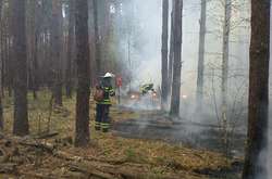 Рятувальники ліквідували пожежу у зоні відчуження (фото)