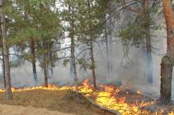 На вихідних у Києві очікується надзвичайний рівень пожежної небезпеки
