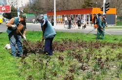 Комунальники проводять благоустрій Стамбульського парку